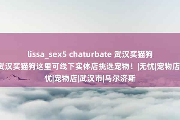 lissa_sex5 chaturbate 武汉买猫狗的地点在那儿，武汉买猫狗这里可线下实体店挑选宠物！|无忧|宠物店|武汉市|马尔济斯