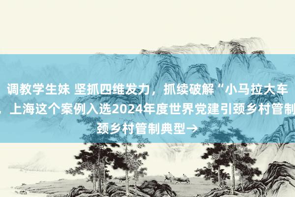 调教学生妹 坚抓四维发力，抓续破解“小马拉大车”清苦，上海这个案例入选2024年度世界党建引颈乡村管制典型→