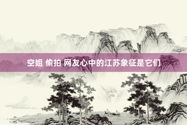 空姐 偷拍 网友心中的江苏象征是它们