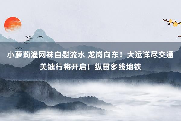 小萝莉渔网袜自慰流水 龙岗向东！大运详尽交通关键行将开启！纵贯多线地铁