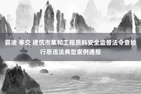 霸凌 拳交 建筑市集和工程质料安全监督法令查验行恶违法典型案例通报
