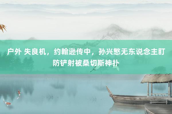 户外 失良机，约翰逊传中，孙兴慜无东说念主盯防铲射被桑切斯神扑
